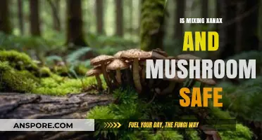 Mixing Xanax and Mushrooms: Understanding the Risks and Safety Concerns