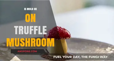 Is Mold on Truffle Mushrooms Safe or Spoiled?