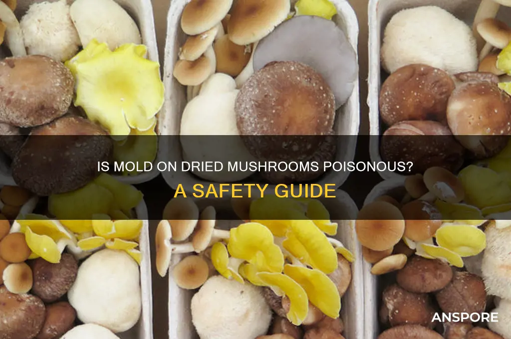 is mold on drie3d mushrooms poisonous