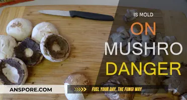 Moldy Mushrooms: Are They Safe to Eat?