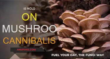 Moldy Mushrooms: Is This Cannibalism?