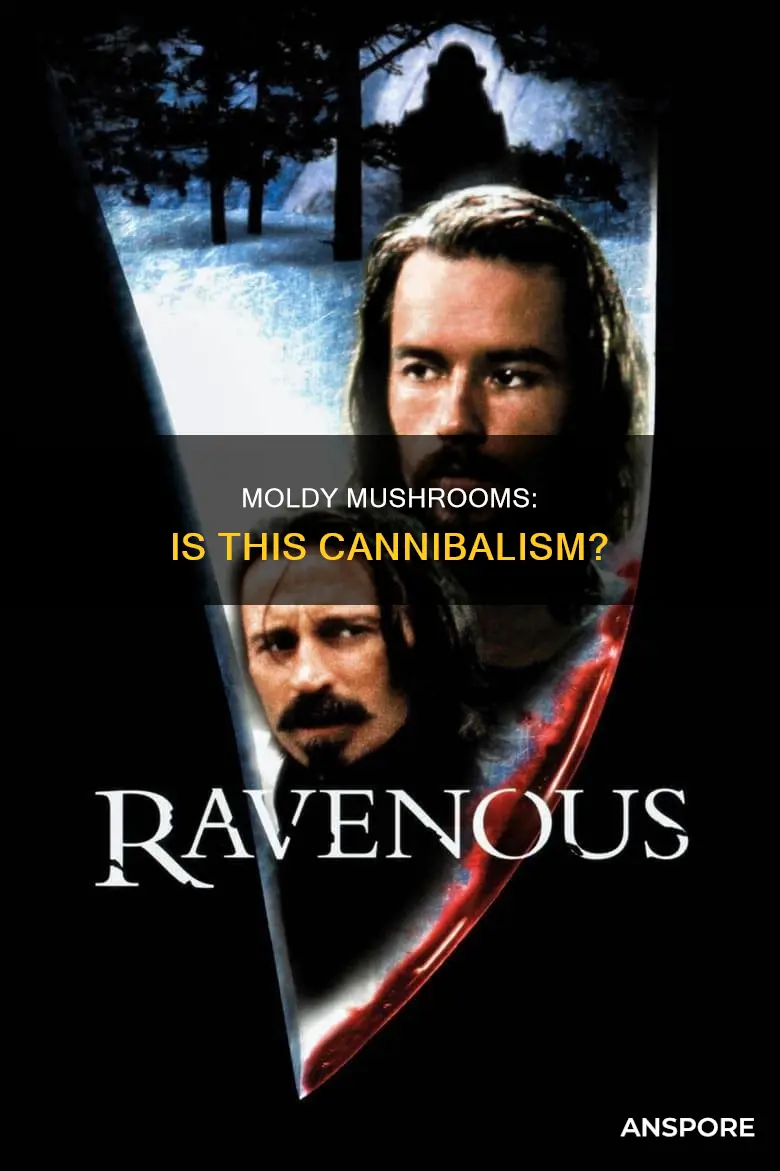 is mold on mushrooms cannibalism