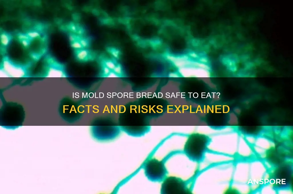 is mold spore bread