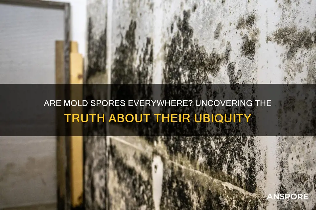 is mold spores everywhere