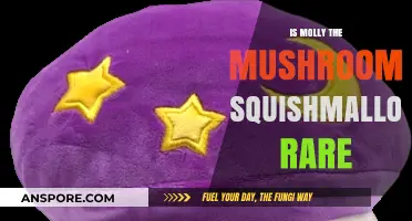 Is Molly the Mushroom Squishmallow Rare? A Collector's Guide