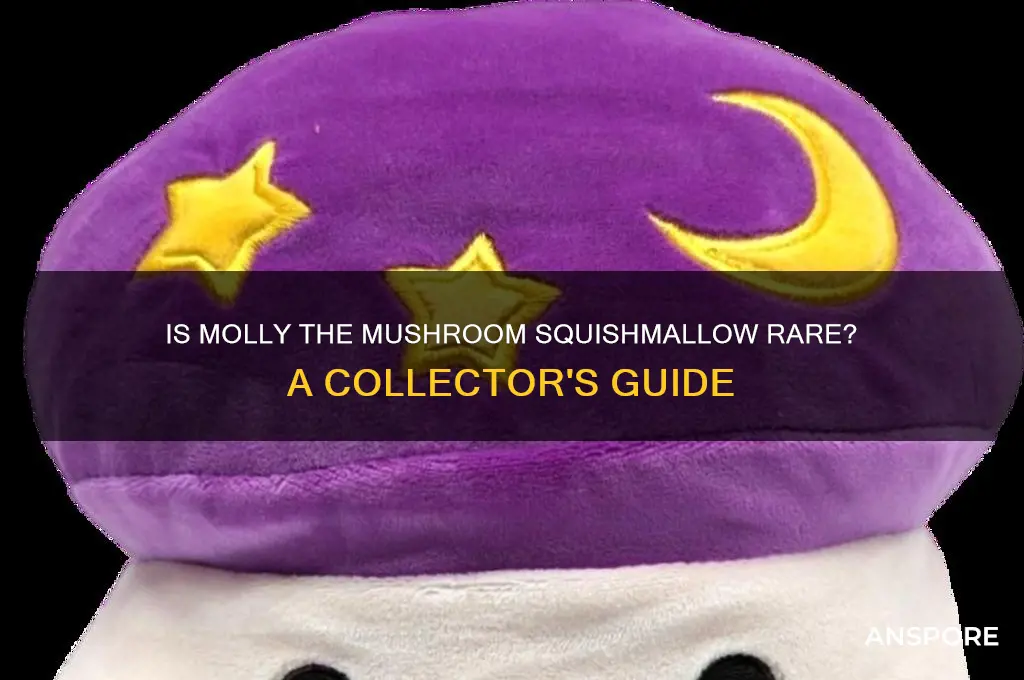 is molly the mushroom squishmallow rare