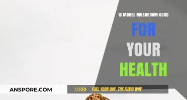 Morel Mushrooms: Unlocking Health Benefits and Nutritional Value