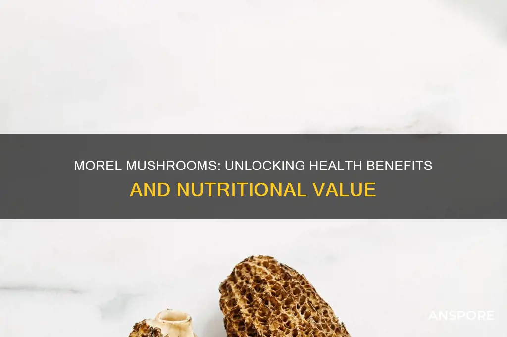 is morel mushroom good for your health