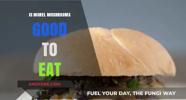 Are Morel Mushrooms Safe and Delicious? A Tasty Guide