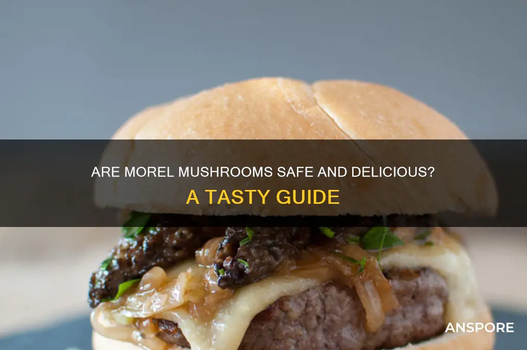 is morel mushrooms good to eat