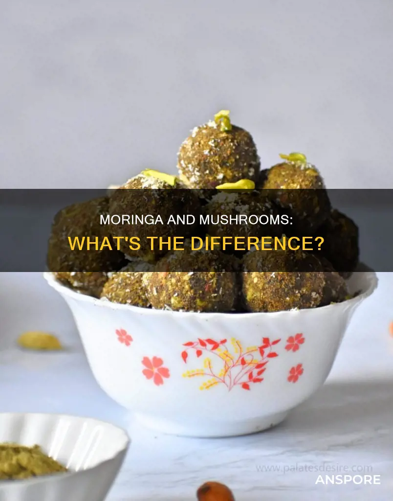 is moringa a mushroom