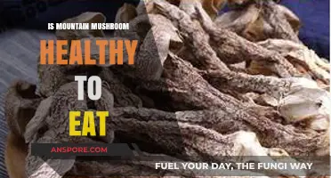 Mountain Mushrooms: Nutritional Benefits and Safe Consumption Guide