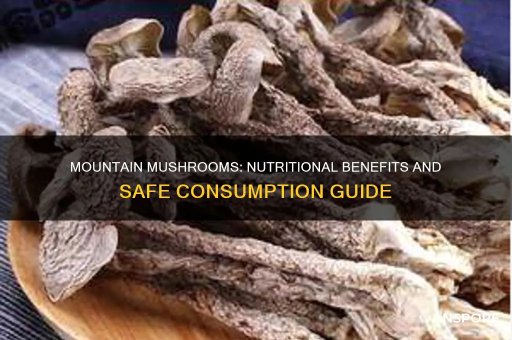 is mountain mushroom healthy to eat