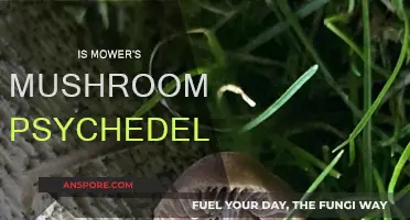 Psychedelic Mower's Mushroom: A Trippy Adventure