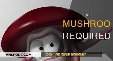 The Mystery of Mr. Mushroom: Is He Necessary?