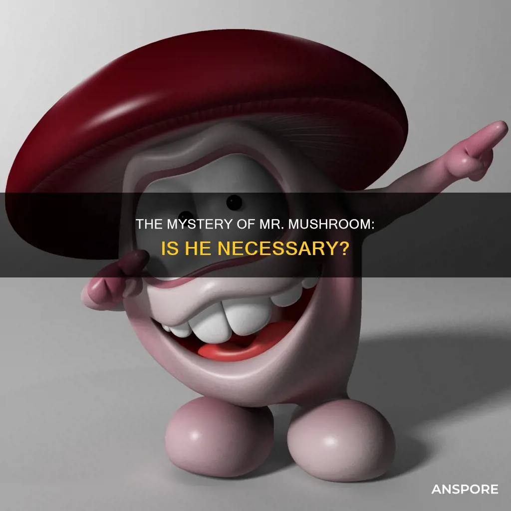 is mr mushroom required