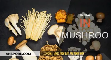 The MSG Myth: Are Mushrooms Hiding a Secret?