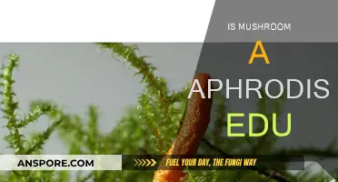 Mushroom Magic: Ancient Aphrodisiac or Myth?