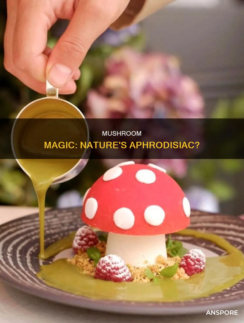 is mushroom a aphrodisiac