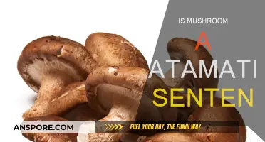 Mushroom's Automatic Sentence Structure: Why?