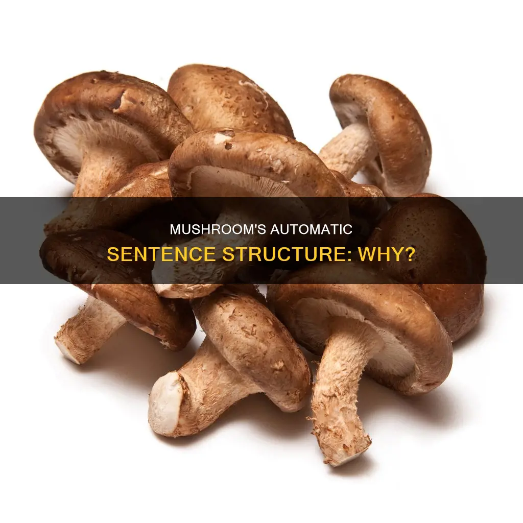 is mushroom a atamatic sentence