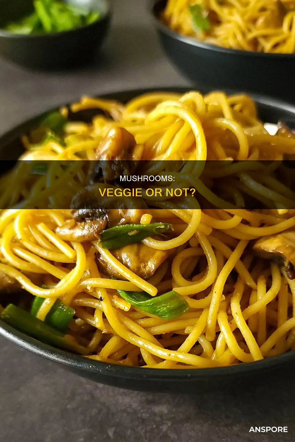 is mushroom a begetable