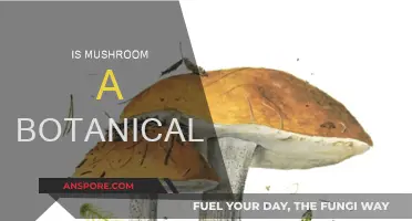 Mushroom Mystery: Botanical or Not?