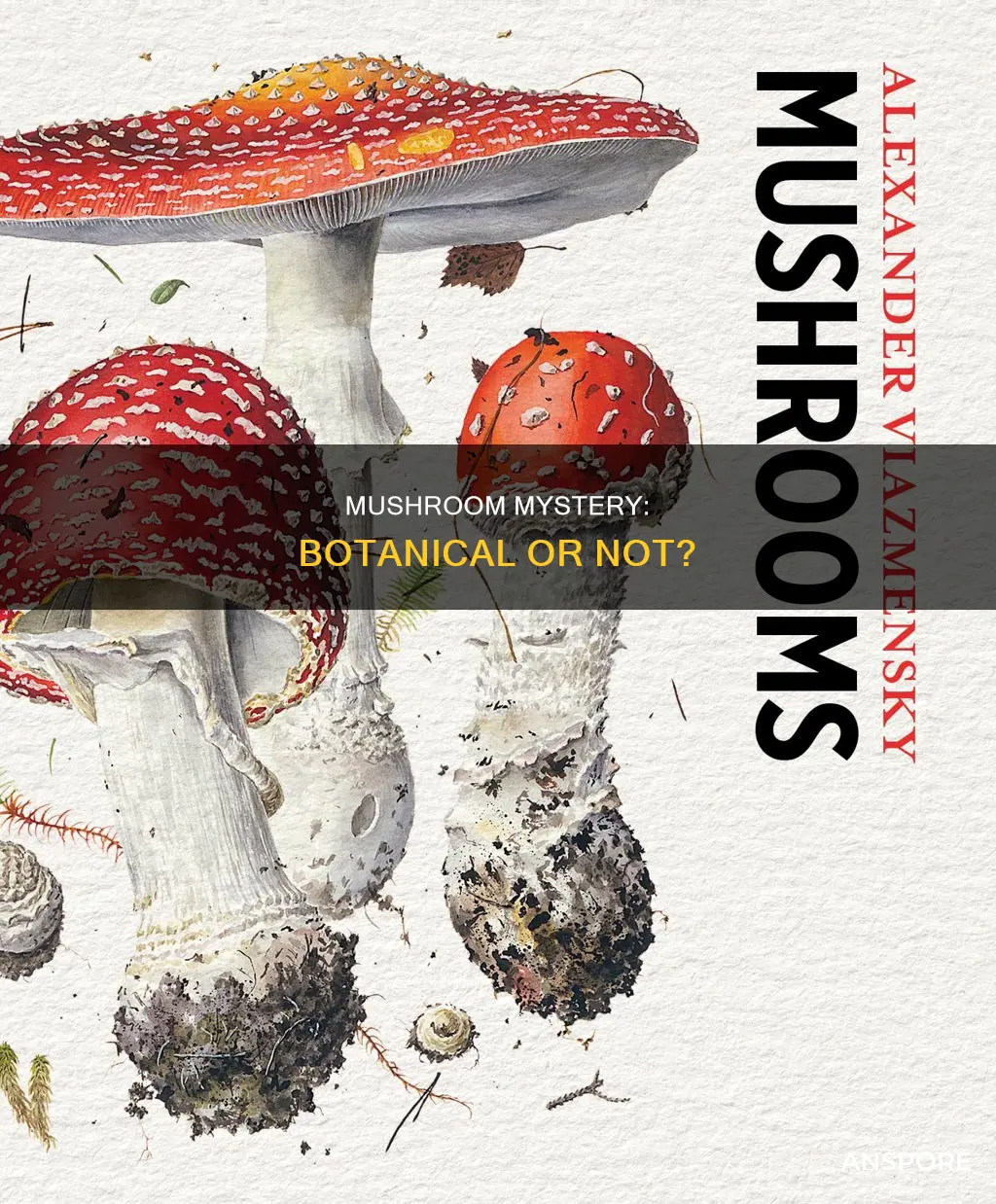 is mushroom a botanical