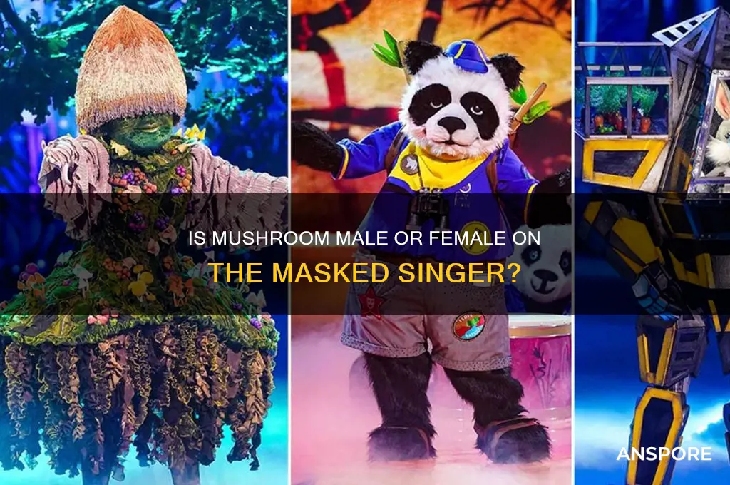 is mushroom a boy or girl masked singer