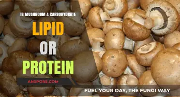 Mushrooms: Carbohydrate, Lipid, or Protein? Unraveling Their Nutritional Mystery