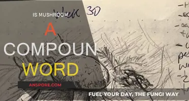 Mushroom: A Compound Word Mystery Solved