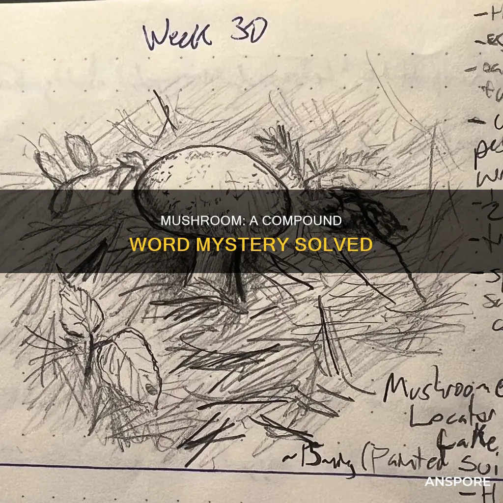 is mushroom a compound word