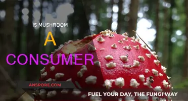 Mushrooms: Consumers or Decomposers?
