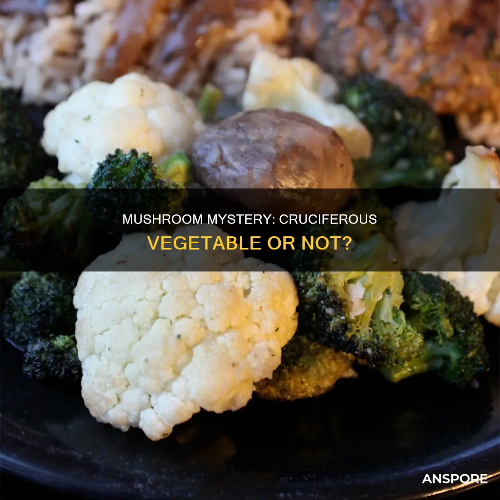 is mushroom a cruciferous vegetable