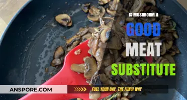 Mushrooms as Meat Substitute: Nutritional Benefits and Culinary Versatility