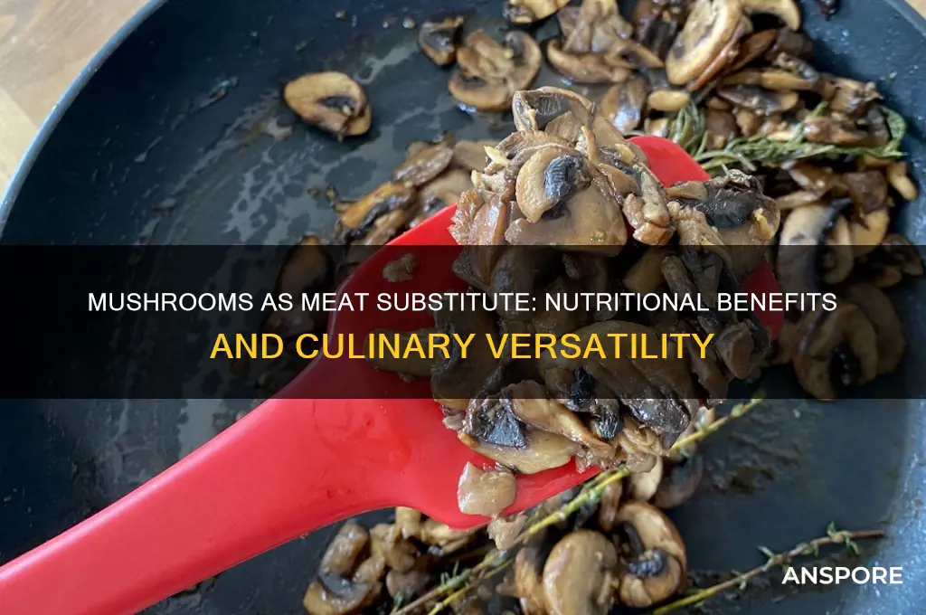 is mushroom a good meat substitute