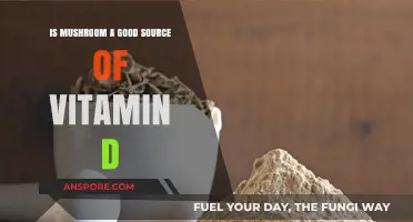 Mushrooms and Vitamin D: Unlocking Their Sunlight-Free Nutritional Benefits