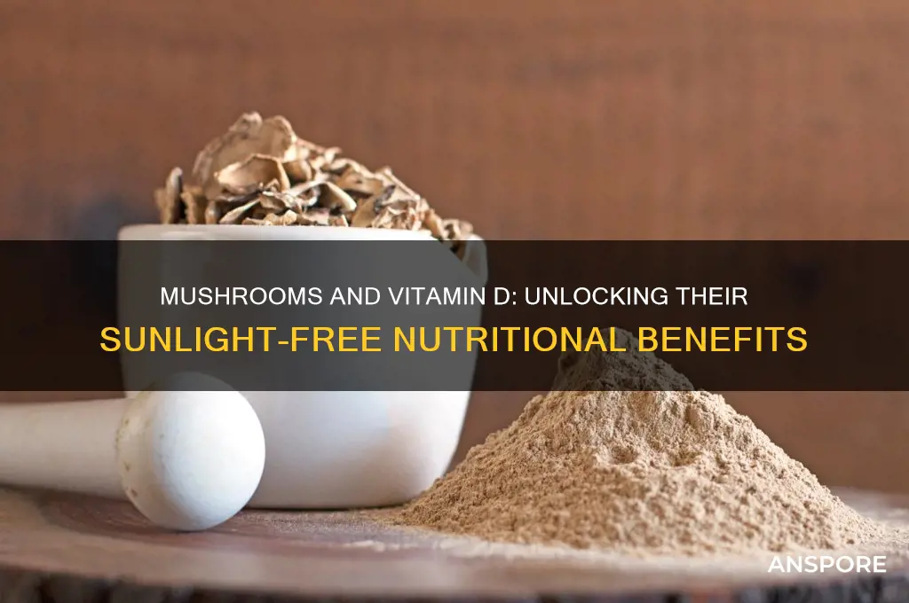 is mushroom a good source of vitamin d