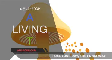 Mushroom Mystery: Are They Alive?