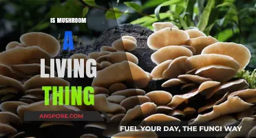 Mushrooms: Living Organisms or Not?