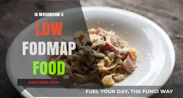 Mushrooms and FODMAP: Are They Low FODMAP Friendly?