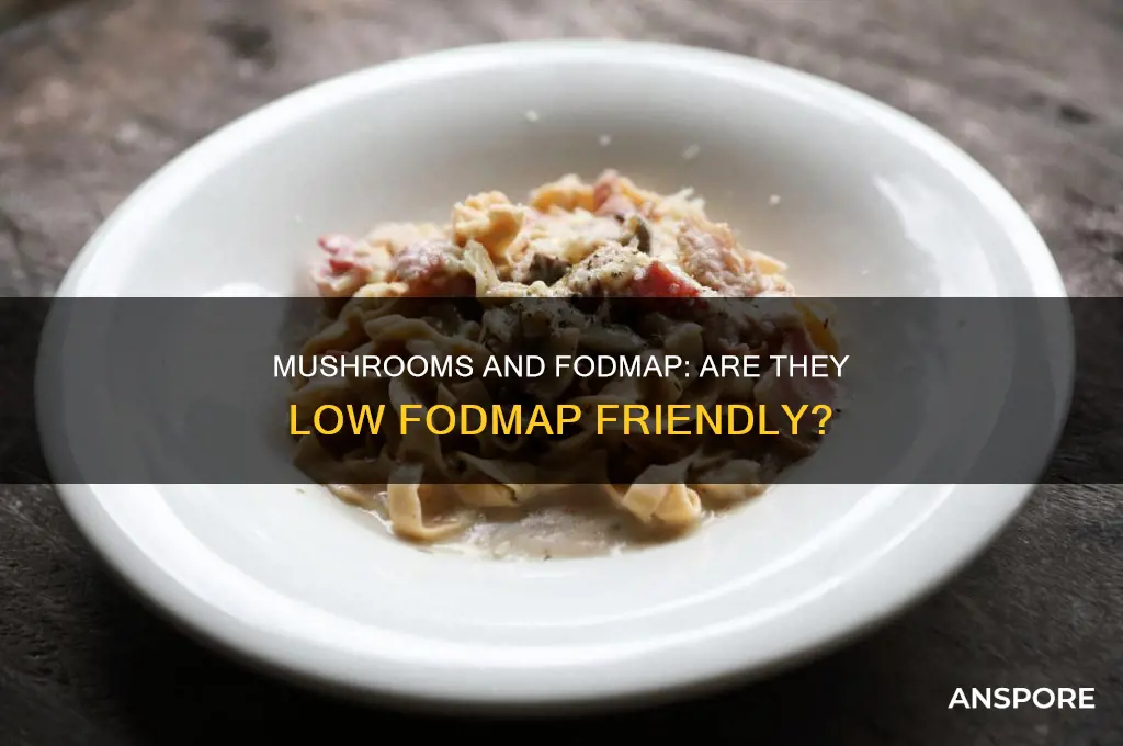 is mushroom a low fodmap food