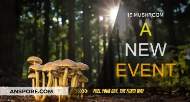Mushroom: The Next Big Event in Town