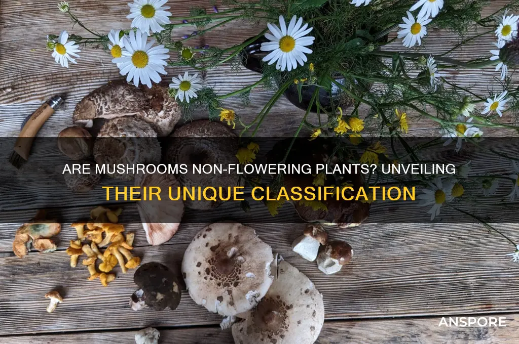 is mushroom a non flowering plant