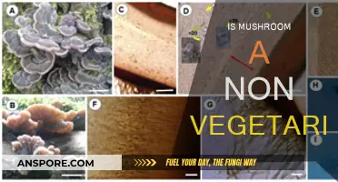 Mushroom Mystery: Vegetarian or Non-Vegetarian?