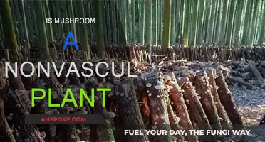 Mushrooms: Nonvascular Plants or Not?