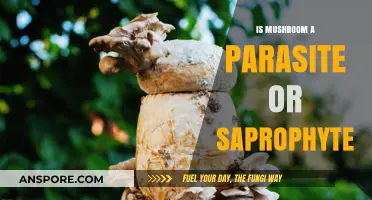 Mushrooms: Parasites or Saprophytes? Unraveling Their Ecological Role