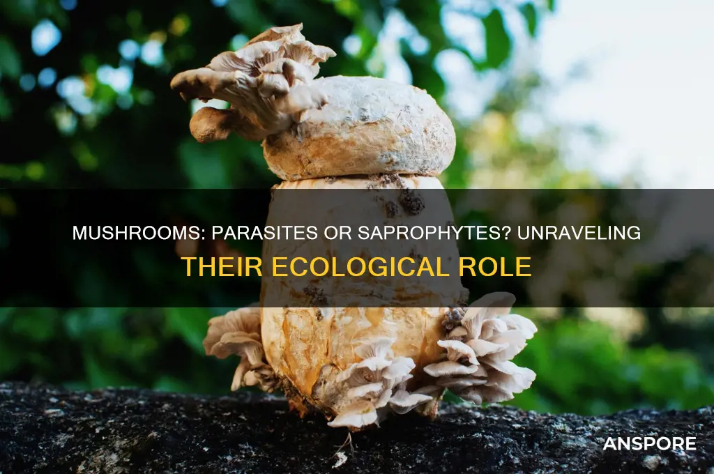 is mushroom a parasite or saprophyte