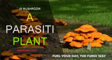 Mushrooms: Parasitic Plant or Fungus?