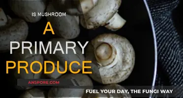 Mushrooms: Are They Primary Producers?